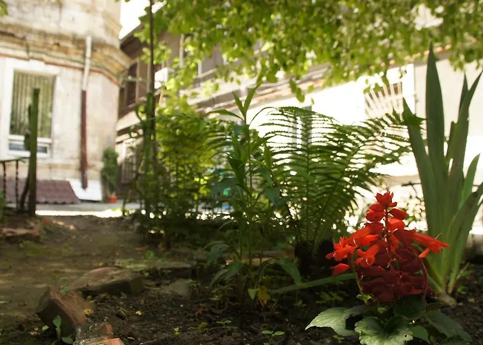 Хостел Dream *